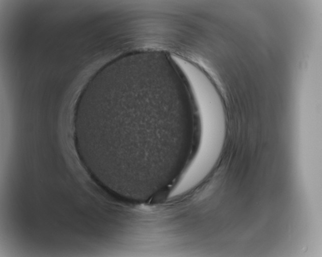 X0000089700673200707051644