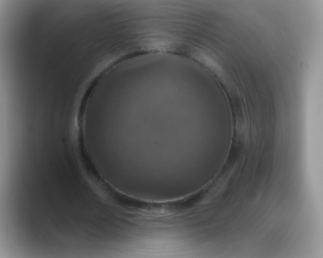 X0000089700674200707051644