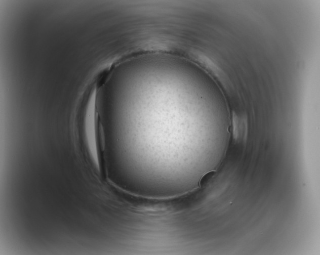 X0000089700675200707051644