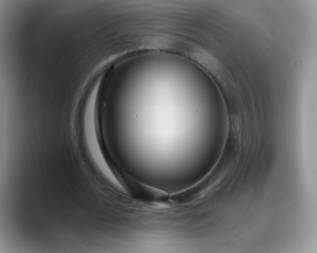 X0000089700676200707051644