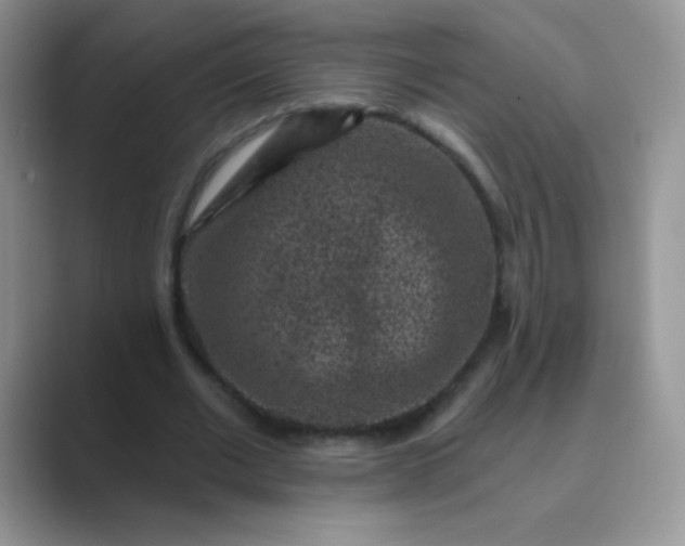 X0000089700677200707051644