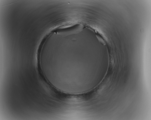 X0000089700678200707051644