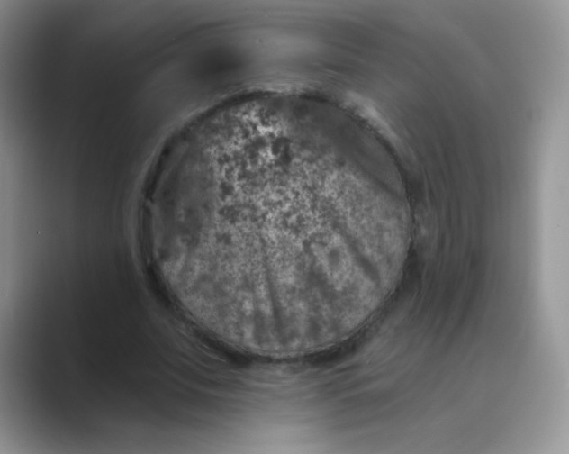 X0000089700679200707051644