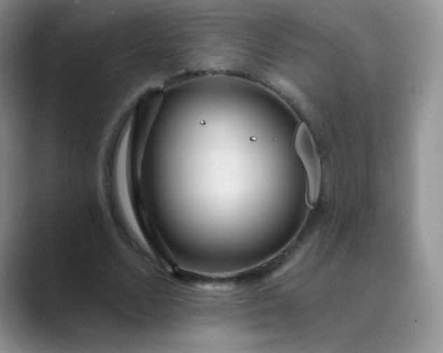 X0000089700680200707051644