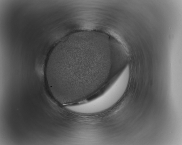 X0000089700681200707051644