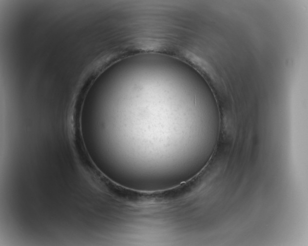 X0000089700682200707051644