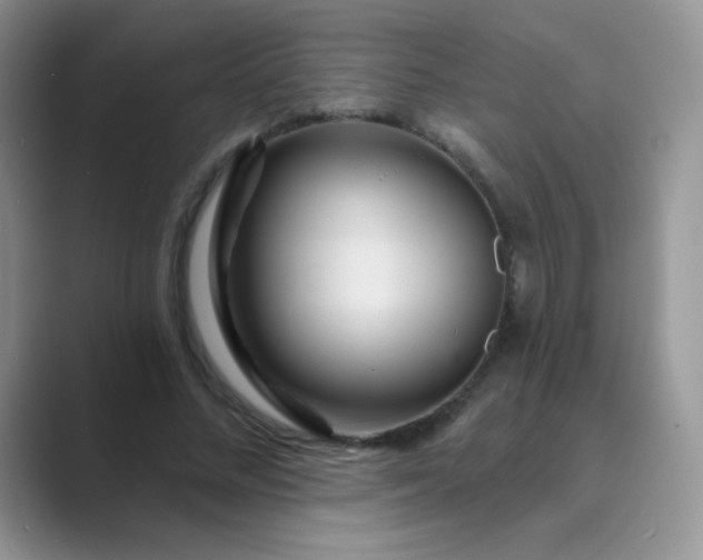 X0000089700684200707051644