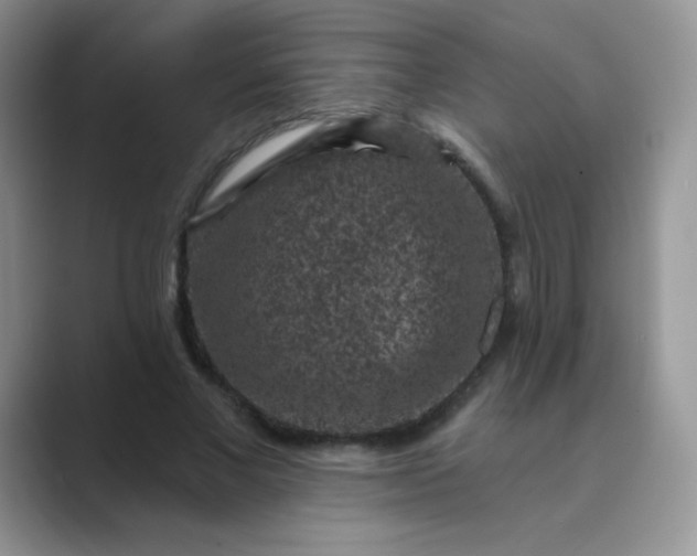 X0000089700685200707051644