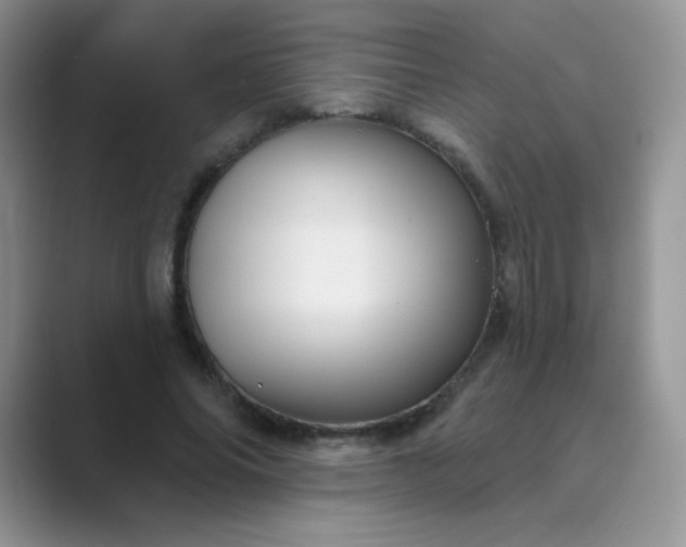 X0000089700686200707051644