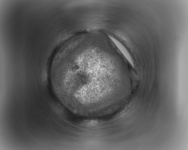 X0000089700687200707051644