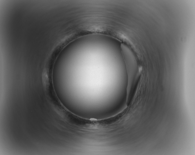 X0000089700688200707051644