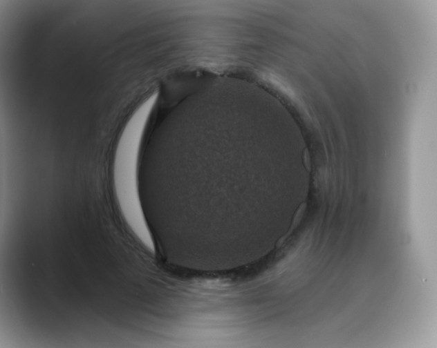 X0000089700689200707051644