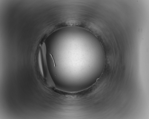 X0000089700690200707051644