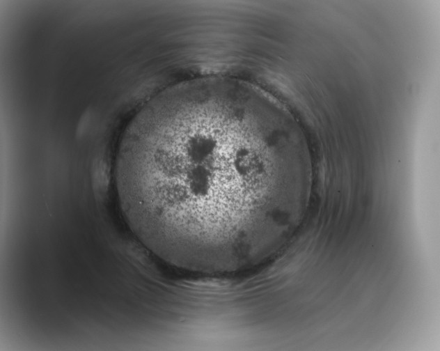 X0000089700691200707051644