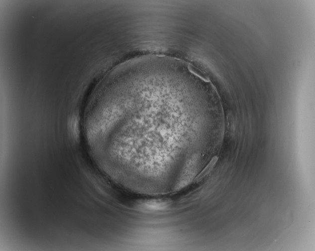 X0000089700692200707051644