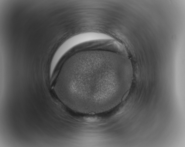 X0000089700693200707051644