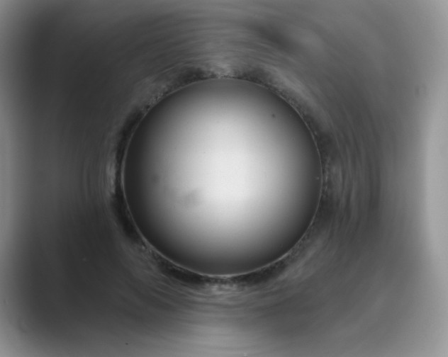 X0000089700694200707051644