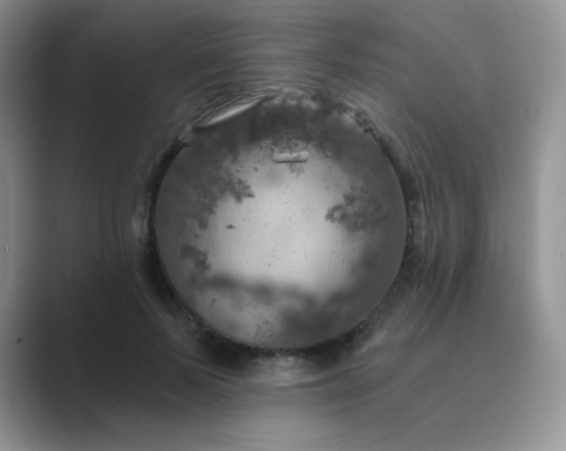 X0000089700695200707051644