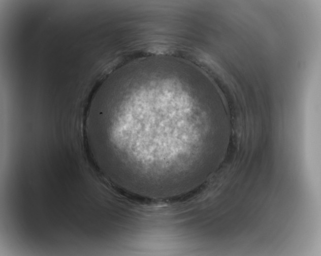 X0000089700696200707051644