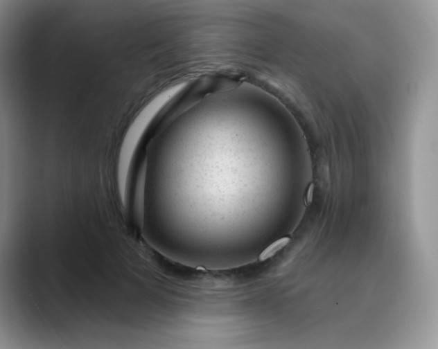 X0000089700697200707051644