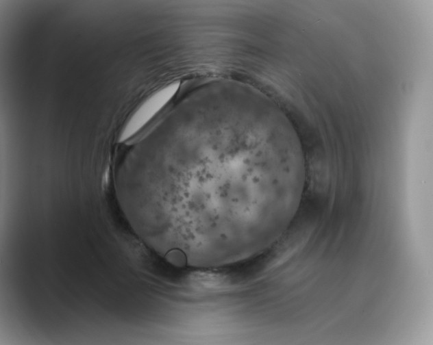 X0000089700699200707051644