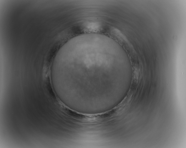 X0000089700701200707051644