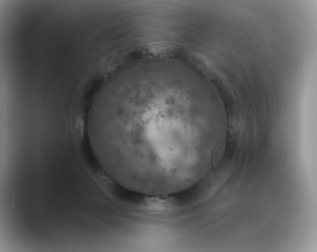 X0000089700703200707051644