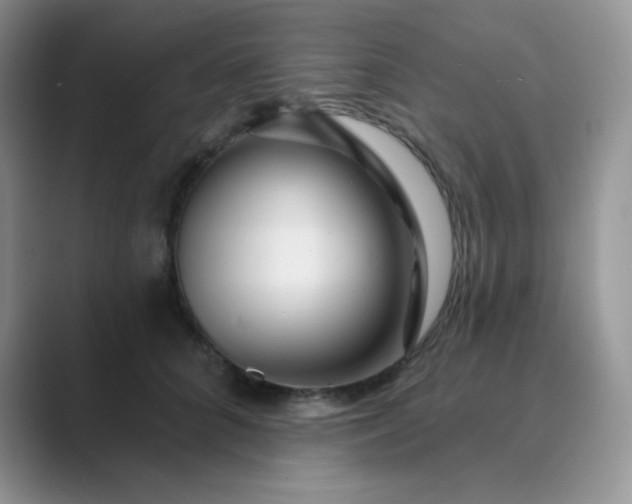 X0000089700704200707051643