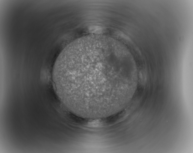 X0000089700705200707051643