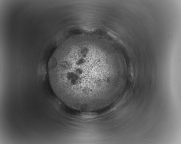 X0000089700707200707051643