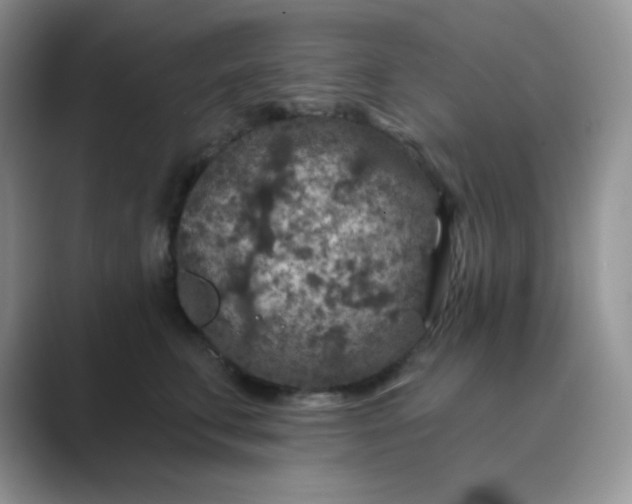 X0000089700711200707051643