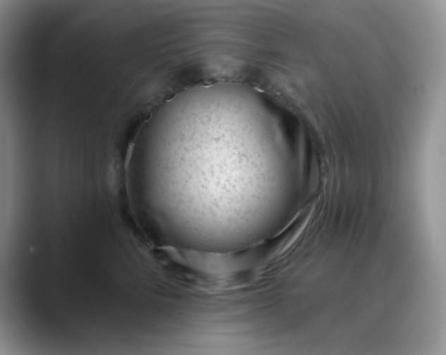 X0000089700712200707051643