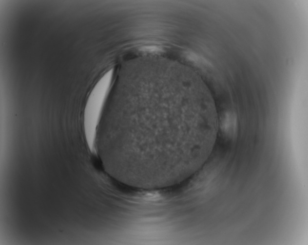 X0000089700715200707051643