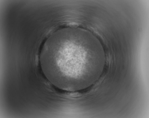 X0000089700716200707051643