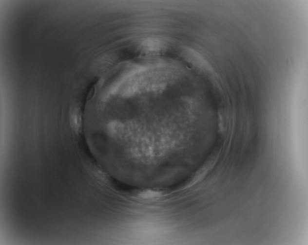 X0000089700718200707051643