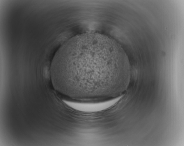 X0000089700719200707051643