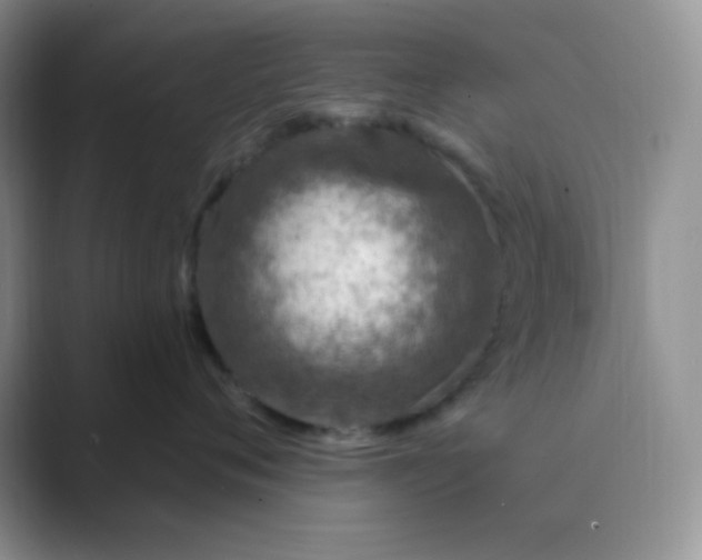 X0000089700720200707051643