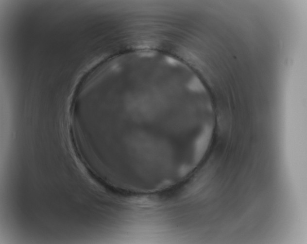 X0000089700721200707051643