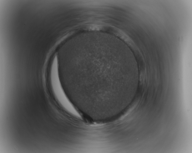 X0000089700722200707051643