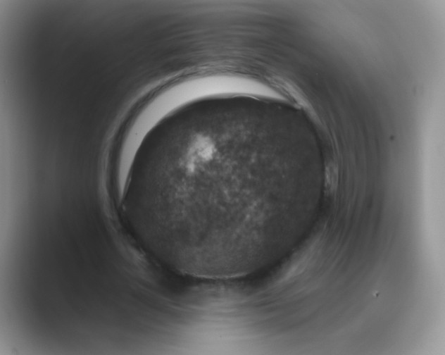 X0000089700724200707051643