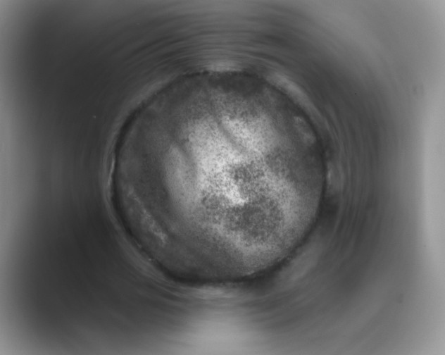 X0000089700725200707051643