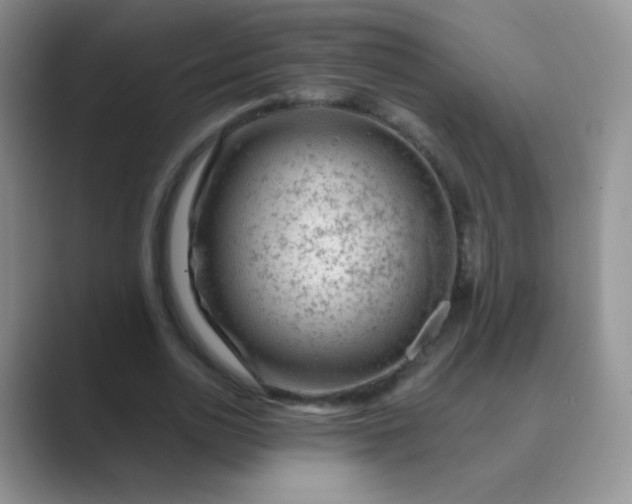 X0000089700726200707051643