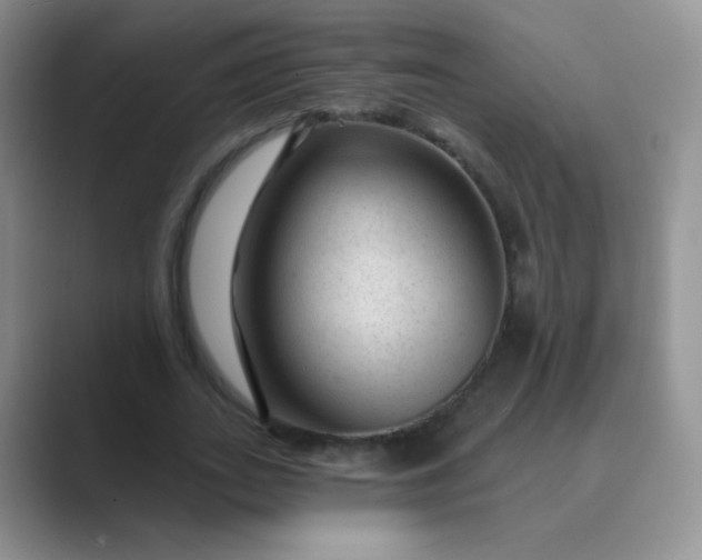 X0000089700727200707051643