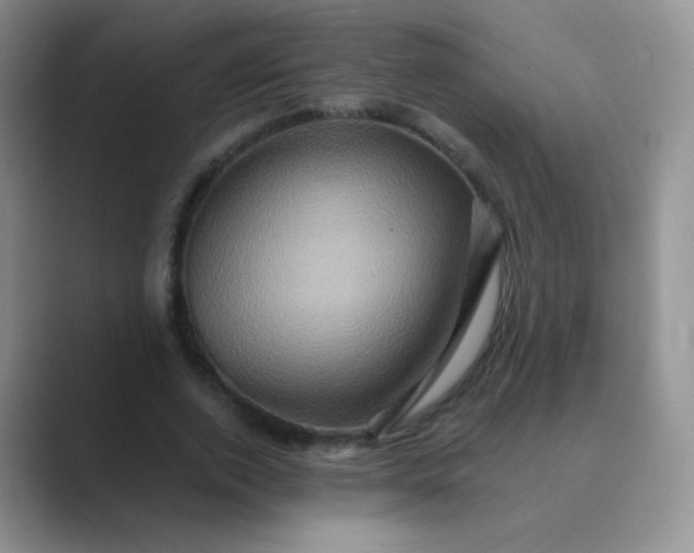 X0000089700728200707051643