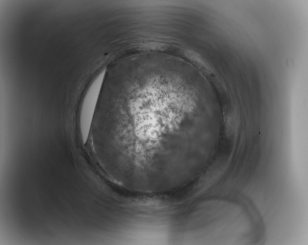 X0000089700729200707051643