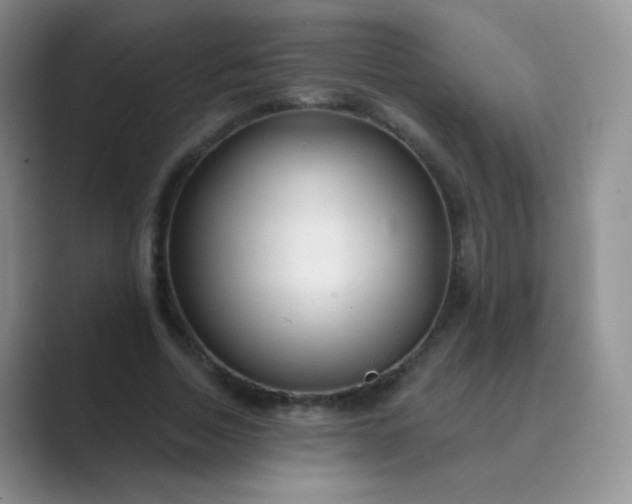 X0000089700730200707051643