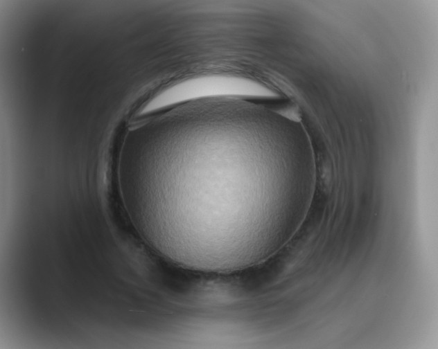 X0000089700732200707051643