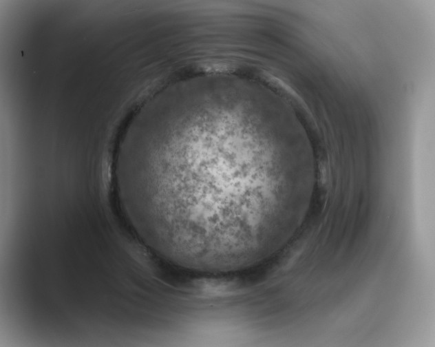 X0000089700733200707051643