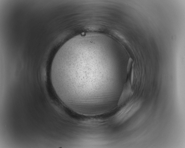 X0000089700734200707051643