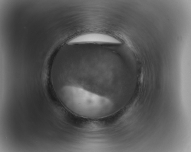 X0000089700736200707051643